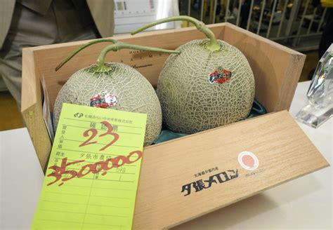 fujii melons